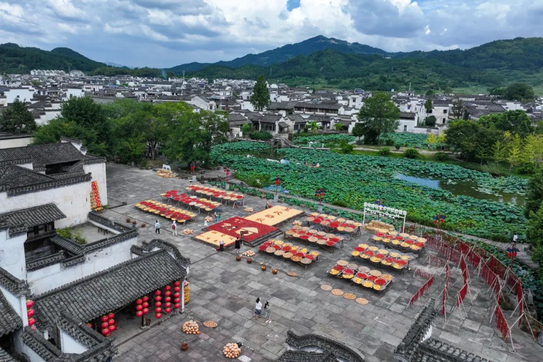 農民日報仲農平文章：豐收中國 壯哉農民